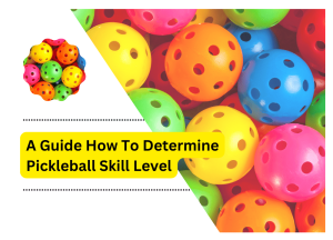 A Guide How To Determine Pickleball Skill Level