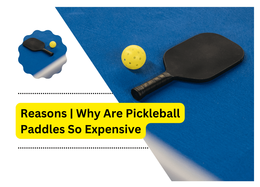 Why Are Pickleball Paddles So Expensive