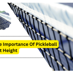 Pickleball Net Height